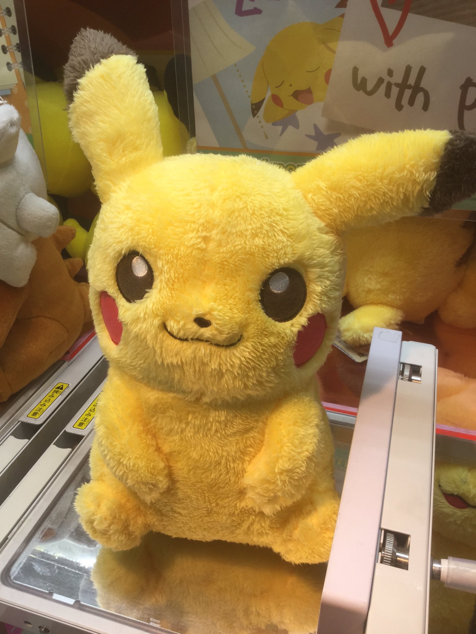 تويتر シルクハット川口 على تويتر ポケットモンスターから ポケモンライフ With Pikachu でっかいぬいぐるみ が登場です 座ってるピカチュウ 寝てるピカチュウの2種類です ふわふわの手触りがたまらない ポケモン ピカチュウ T Co