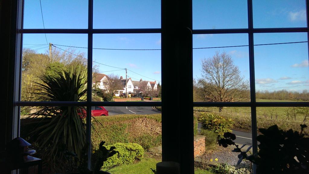 yellow6stag's tweet photo. View from desk this morning thanking God for sunshine https://t.co/X0Vvq4Ytm7