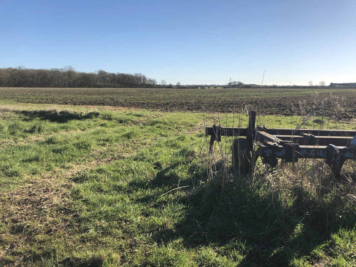 Armourheritage's tweet photo. Made it to our gloriously sunny proposed solar site in Lincolnshire! #SolarPower #RenewableEnergy #heritage #renewables #planning https://t.co/ppbv7cJ4oq