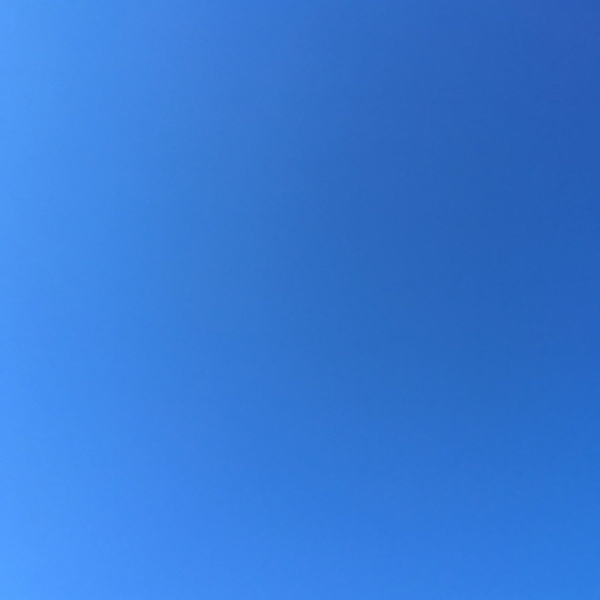 LizDawsonPR's tweet photo. Look up, people! Blue sky!! #SpringInStep #NoFilter https://t.co/XuQWs4OKSd