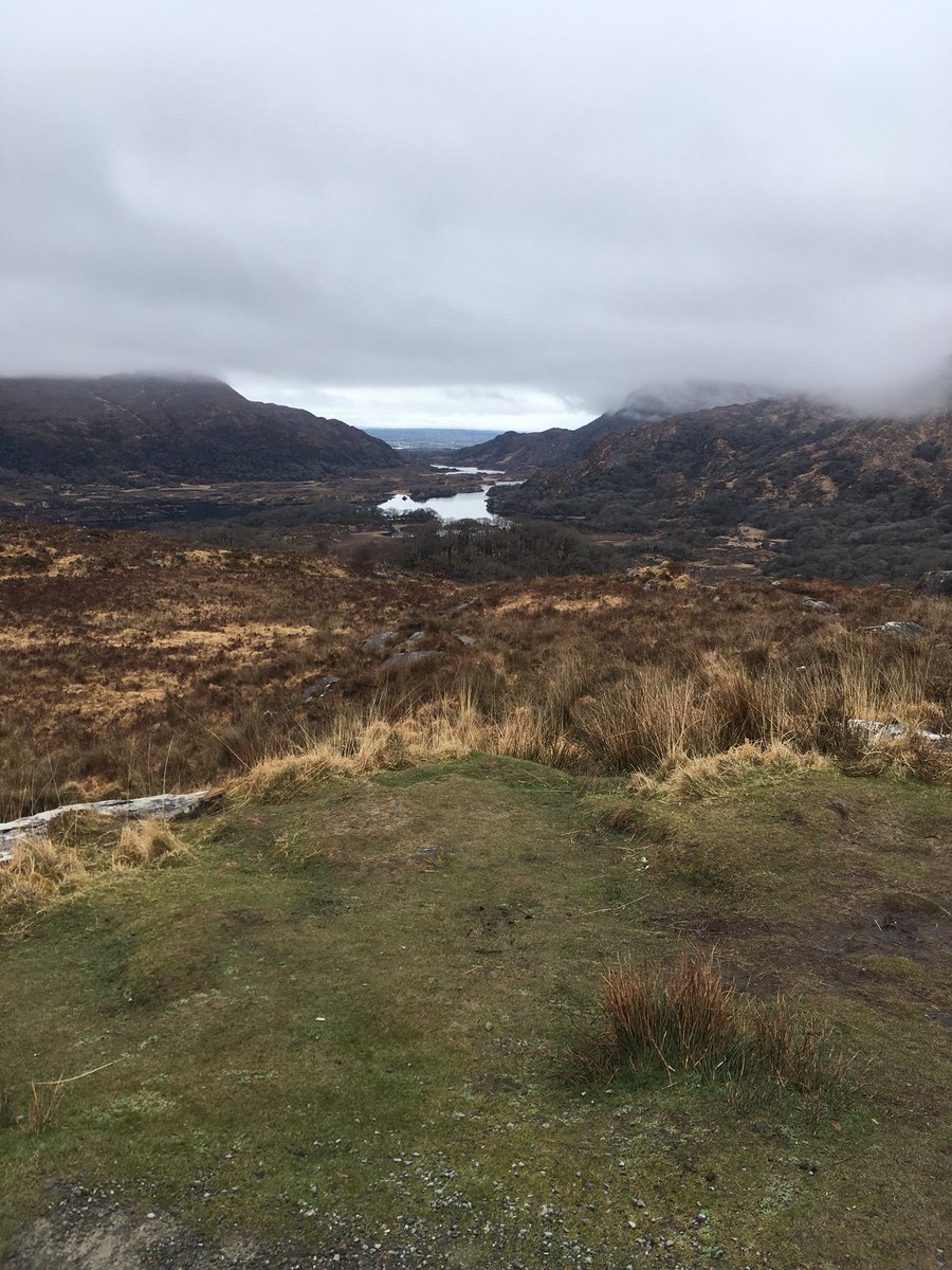lifesnextchapt's tweet photo. The beautiful ever changing Ladies View on the Ring of Kerry #WildAtlanticWay #Ireland  #ringofkerry #lakes https://t.co/FhwKpOV69h