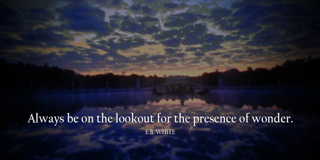 skygobuy's tweet photo. Always be on the lookout for the presence of wonder. - E.B. White #quote #ThankfulThursday #SkyGoBuy https://t.co/jwH0euD1Vw