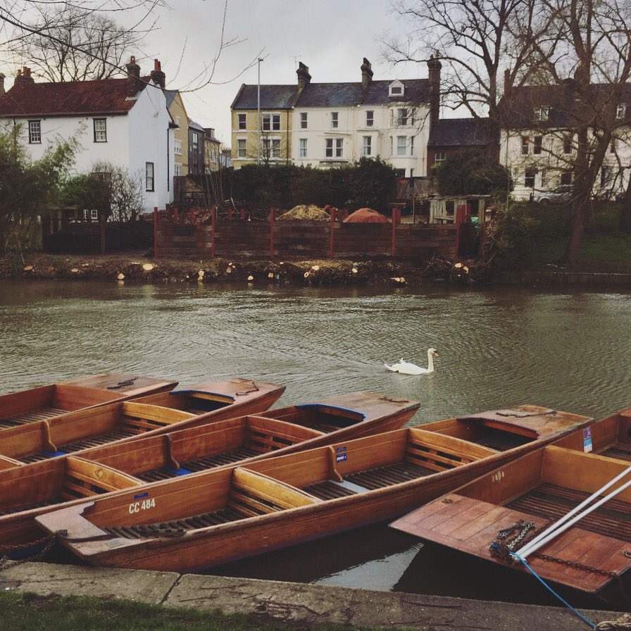 bookyourmentor's tweet photo. RT @MesenseiEdu: "All swans are white" is a classic example of a falsifiable statement. However, there is nothing false about this swan, which just happened to swim into the photo of boats 😄
.
.
#cambridge #cambridgelife #Mesensei #mentoring #Star… https://t.co/4LeKYdxUQn