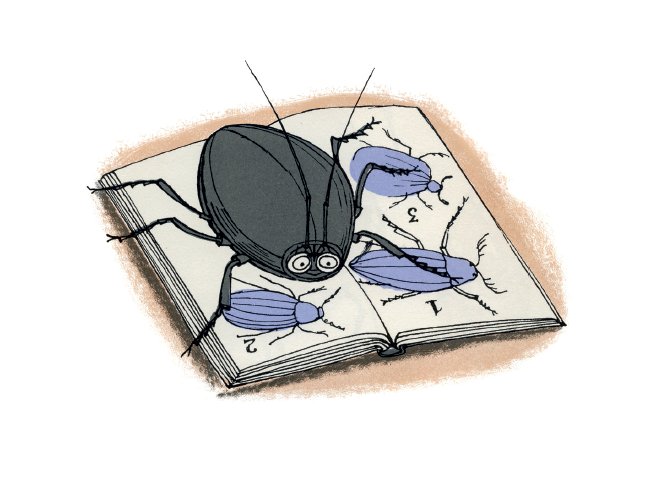 MainstonePress's tweet photo. Crazy about Books, Bugs &amp; Bawden? Then this one's for you! 11 days and counting... #newbook #mainstonepress #webbandwebb #peytonskipwith #jamesrussell66 https://t.co/dMxOqaggZ8
