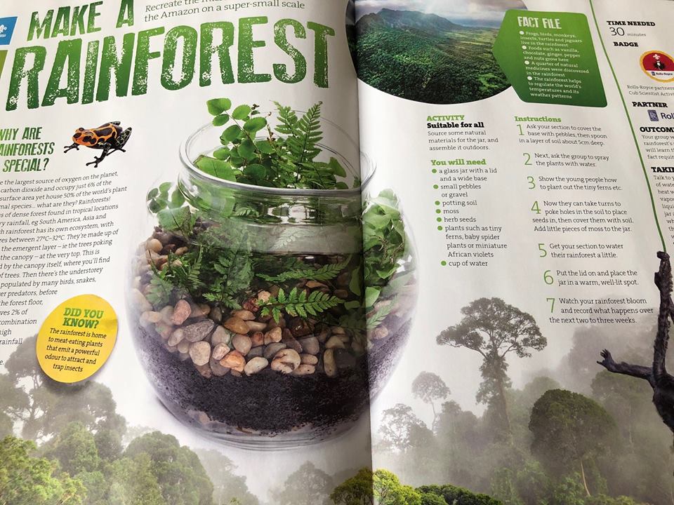 Coventry Scouts tweet media