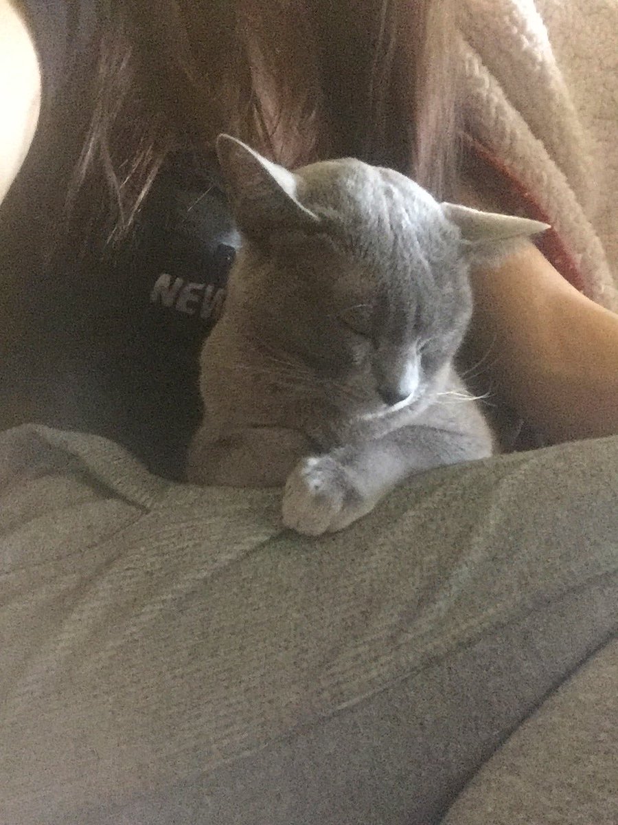rosenbergmelisa's tweet photo. Вот так и сидим второй день ❤️ https://t.co/5pkL6GrIRB