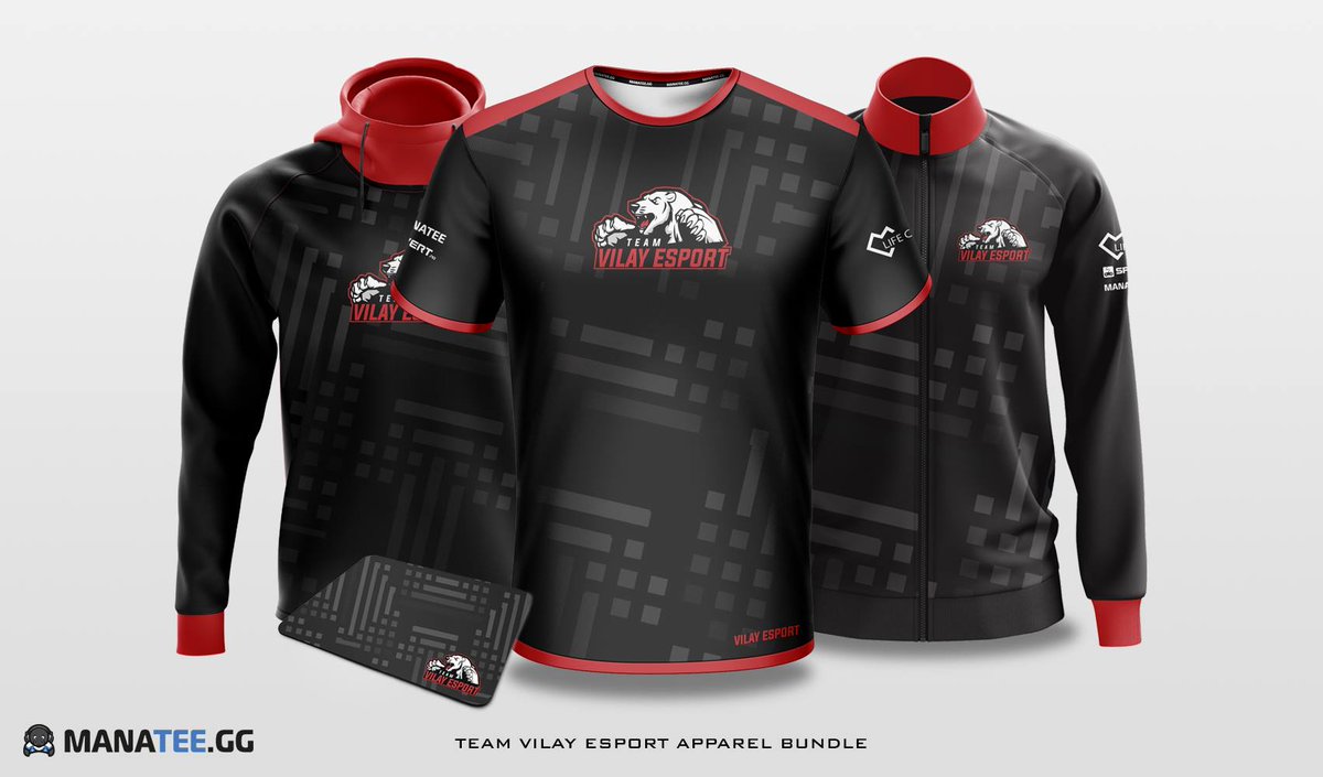 Vilay Esport tweet media