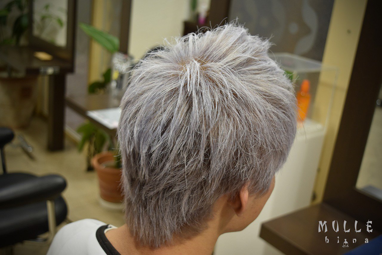 Mullehina Mullehina Twitter