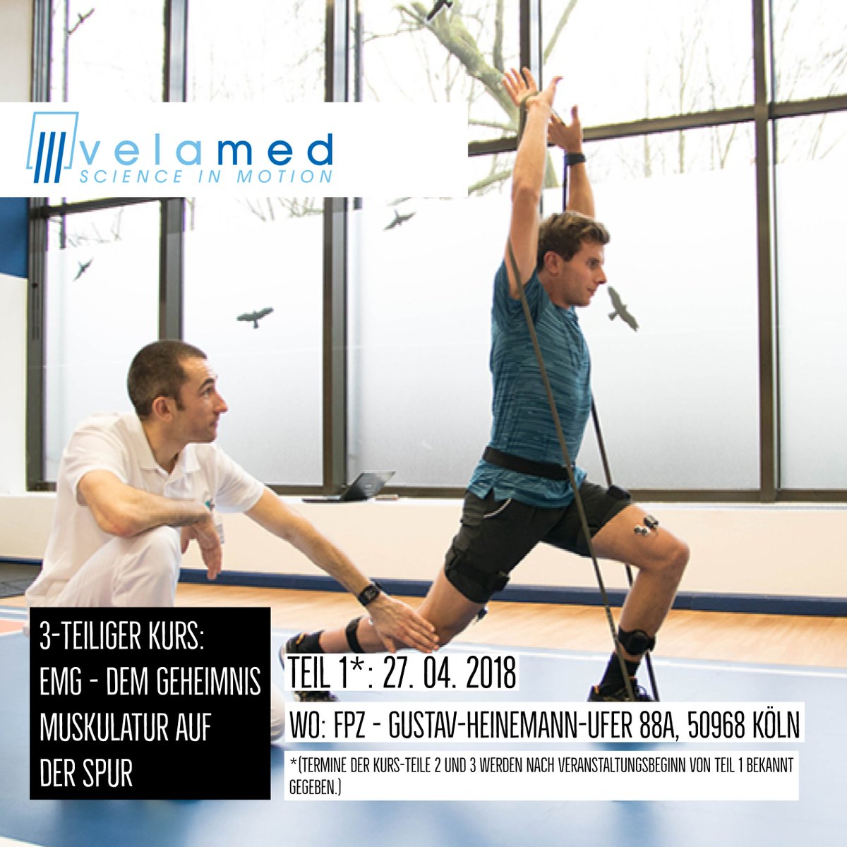 Velamed GmbH tweet media