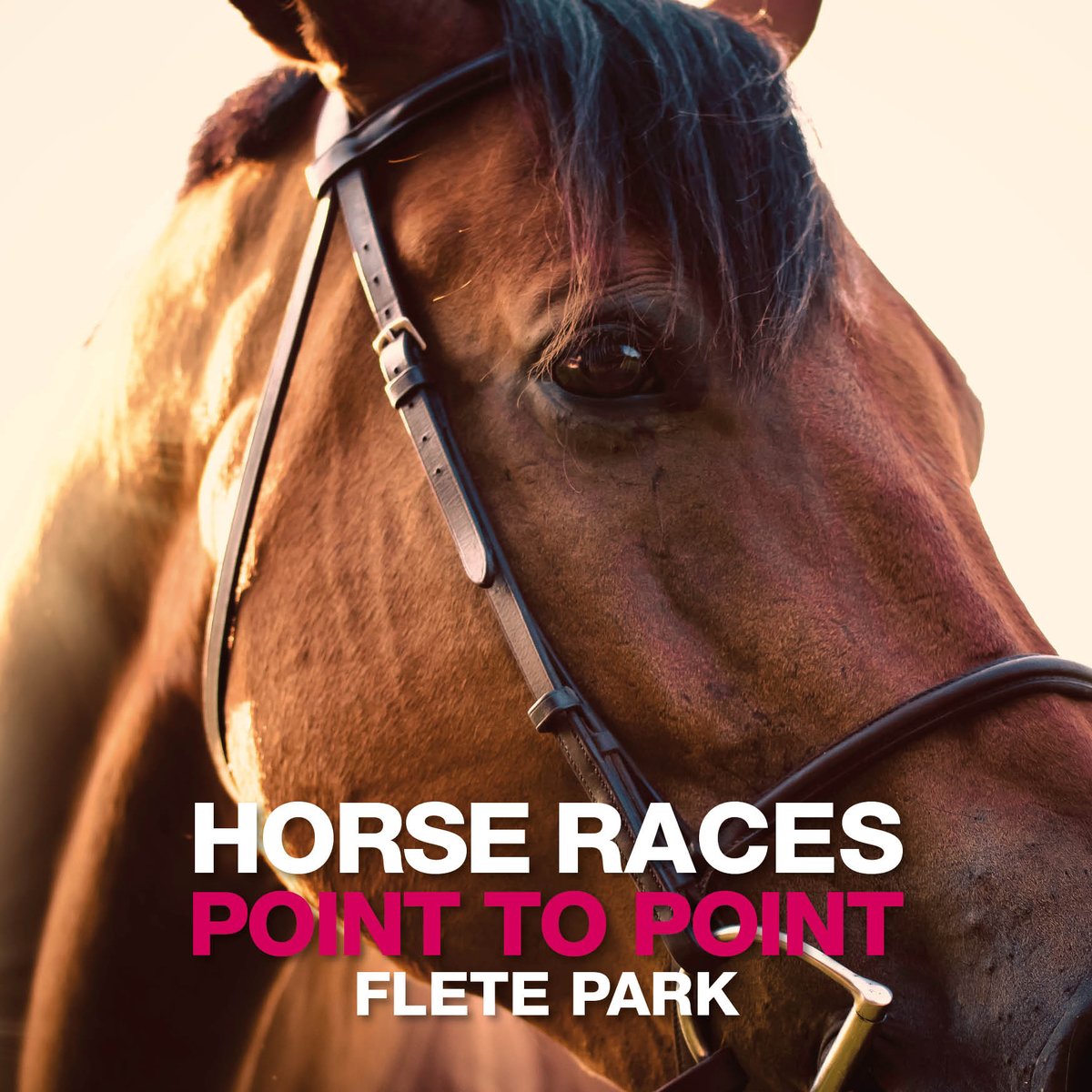 saloncalledfish's tweet photo. Point to Point is coming! 
Make sure you've saved the date, it's set to be a big one!

April 21st &amp; May 5th - gates open 11am | Pony racing, Clydesdale racing, hog roast, bar, bookies, food stalls and much more... it's not one to be missed! https://t.co/6aMfysU0a0