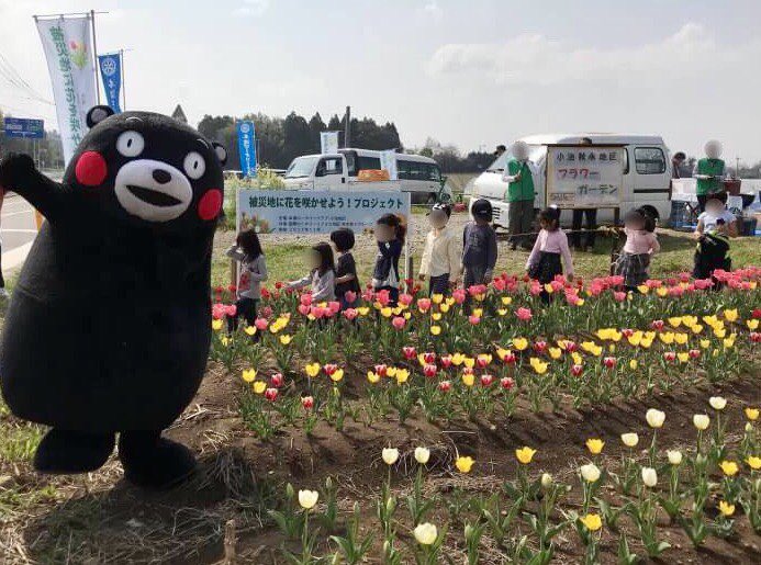 くまモン 公式 Twitterren 先日 被災地に花を咲かせよう プロジェクト開花イベントに 行ってきたモン チューリップ畑ばお友達と散策したモン みんなボクについてきてはいよ 熊本がもーっと元気になるようにこれからもがまだすモーン