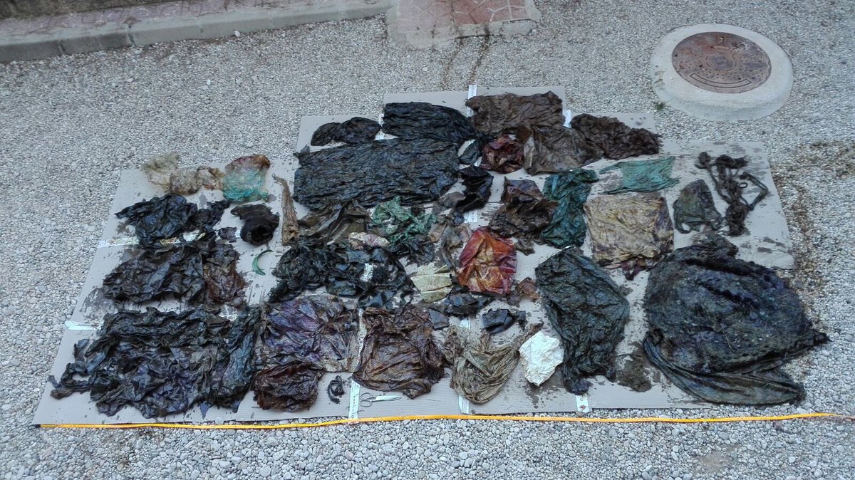 maruizparra's tweet photo. La necropsia del cachalote varado en Cabo de Palos es un reflejo cruel de las agresiones cotidianas a los océanos. #basuraleza https://t.co/YTfosg8BfB