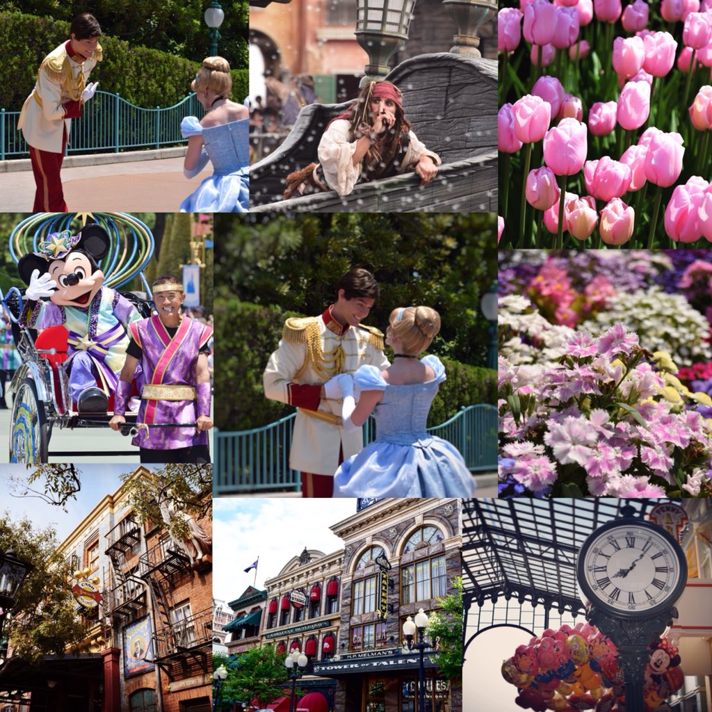 D579270731's tweet photo. 年パ更新したので😊
イン友さん欲しい…💭

00〜01line/共通/Nikon/雑食

#Dヲタさんと繋がりたい
#Twitter上にいるDヲタ全員と繋がるのが密かな夢だったりするのでとりあえずこれを見たDヲタはRTもしくはフォローしていただけると全力でフォローしに行きます https://t.co/1UwirDxaWr