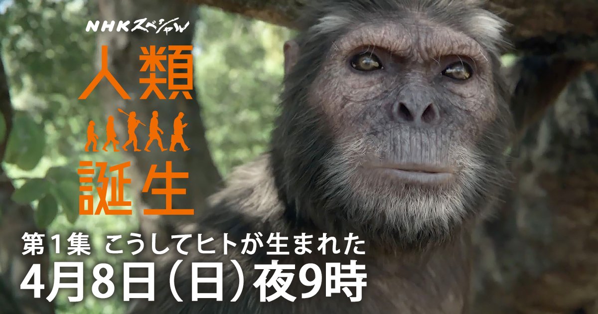 Twitter 上的 ｎｈｋスペシャル公式 か弱いアフリカの生き物に過ぎなかったサルが なぜ７００万年の間にヒトへと進化できたのか 最新研究に基づいて描く人類進化７００万年の旅 Nhkスペシャル 人類誕生 第１集 こうしてヒトが生まれた 日曜よる9時です