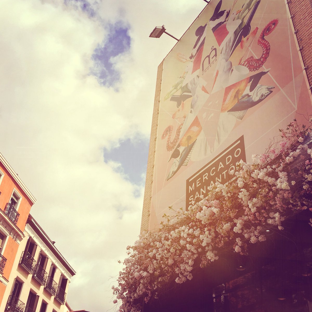 ¡Llegó la Primavera al <a href="/mercadosananton/">Mercado de San Antón</a>! Recuerda que abrimos todos los días y también online en 7delicatessen.com