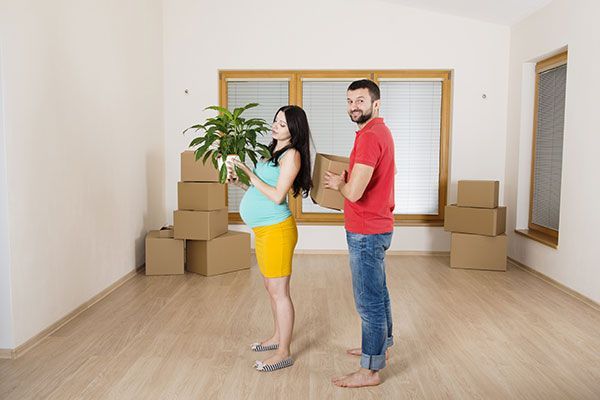 MudanzasBlog's tweet image. ¿Tienes #plantas en casa y no quieres que sufran ningún daño durante  tu #mudanza? ¡Te traemos los mejores consejos para poder evitarlo! #empresademudanzas #blog #mudanzas #mudanzasbaratas buff.ly/2GdVqLI