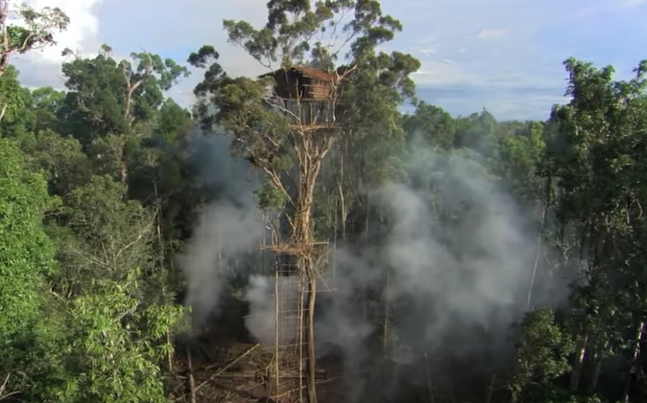 RadioTimes's tweet photo. BBC admits the tribal treehouse building scene in Human Planet was faked https://t.co/V3yIMLvXEt https://t.co/nAFXplMhfi