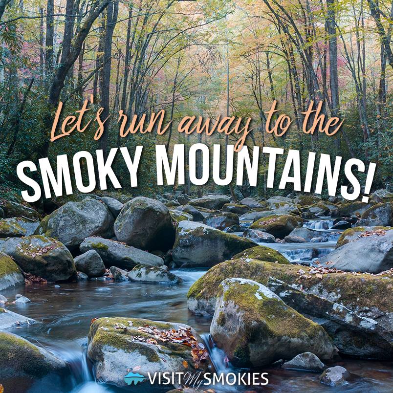 Would you love to run away to the Smoky Mountains? visitmysmokies.com
