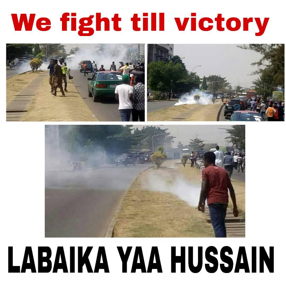 mustyy09's tweet photo. We will never negotiate with terrorists ( @MBuhari, @APCNigeria, @PoliceNG, @HQNigerianArmy, @ProfOsinbajo, @elrufai @GovUmarGanduje #LawalDaura, #Munguno, #DanAli,) obey court order #FreeZakzaky. @ELBINAWI @john_danfulani @MrAyeDee @realFFK @renoomokri @GarShehu @FemAdesina https://t.co/nI8AGhKBPl