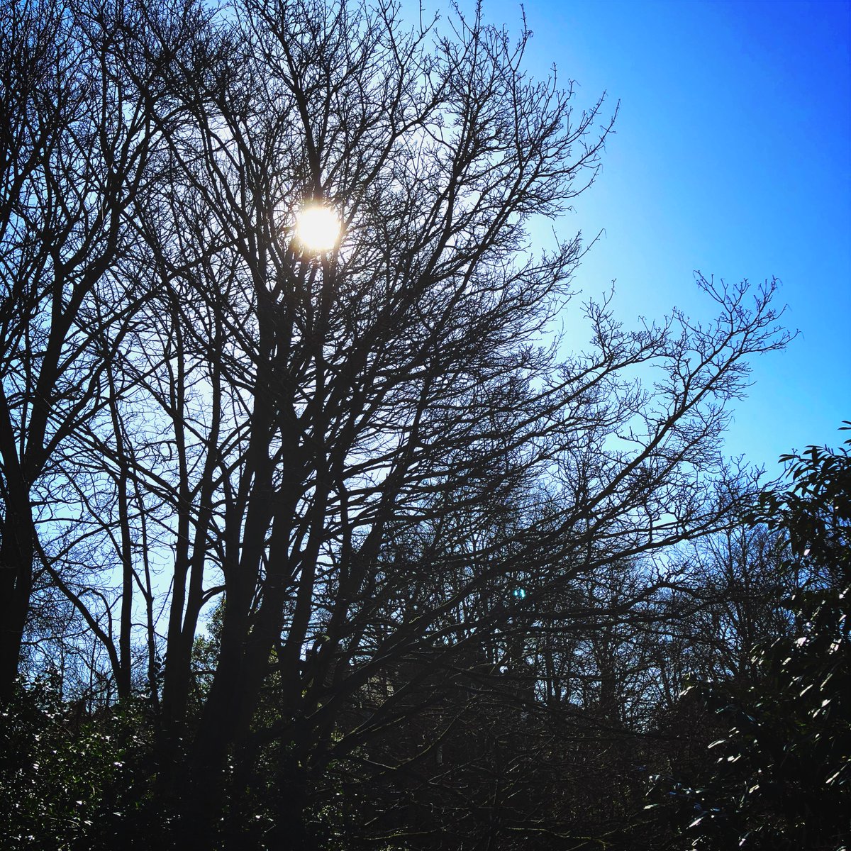 Audio_Apparel's tweet photo. Gorgeous day at Casa Apparel. Gonna take a drive over the #Yorkshire #dales to visit the warehouse. #rocknroll #aaalife #aaathreads https://t.co/vl6JHsG2QO