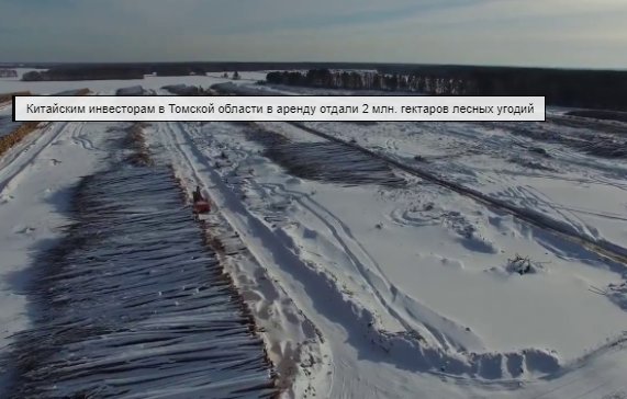 отдам землю в аренду. отдам землю в аренду. передача земли китаю в аренду. сдача территорий китаю. арендованная китайцами земля.