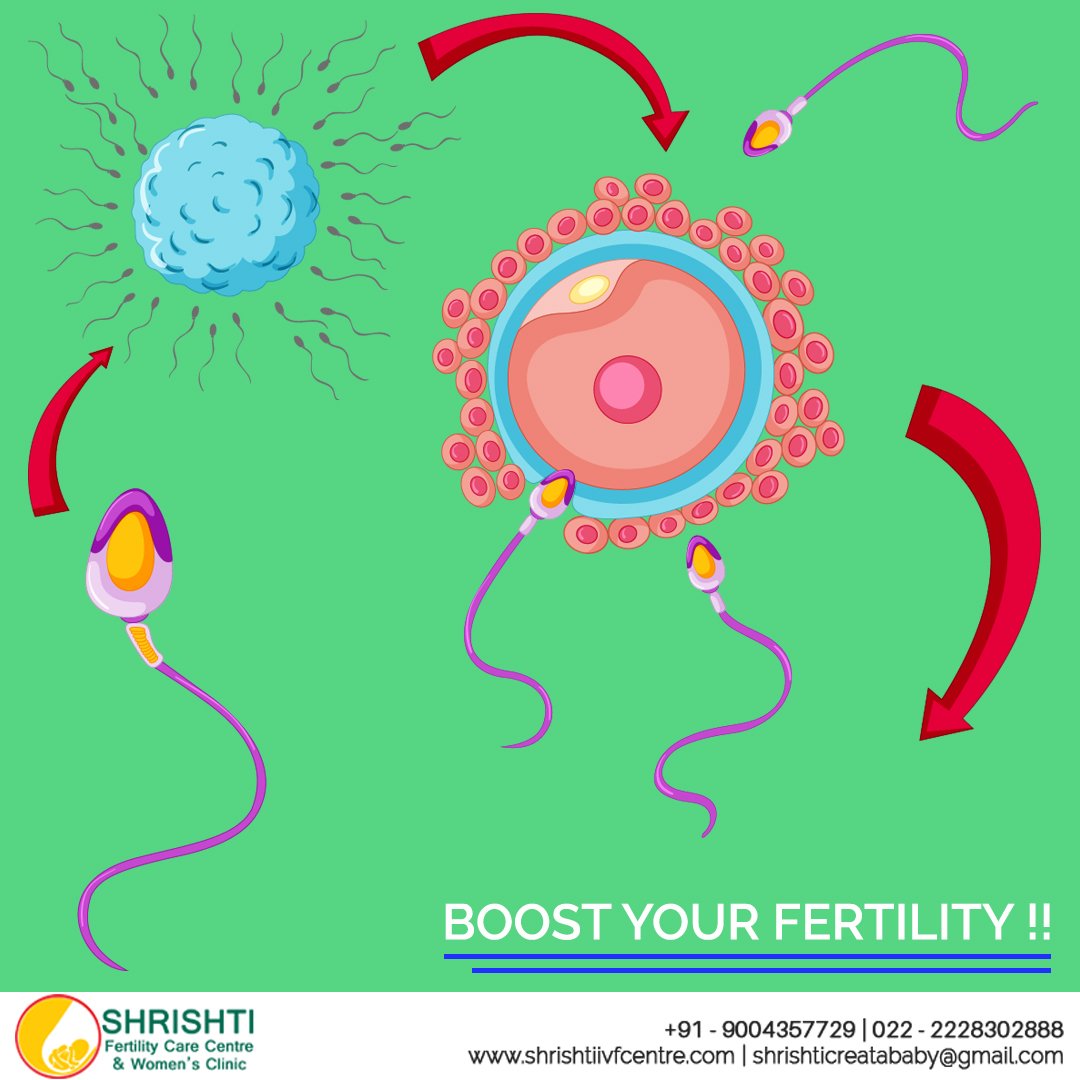 shrishtiivf's tweet photo. BOOST YOUR FERTILITY
Complete Post Link: https://t.co/Y8Q7e0RXtQ 

#fertility #menstrualcycle #fertilityawareness #fertilityjourney #shrishtiivf https://t.co/fcutVaKJEK