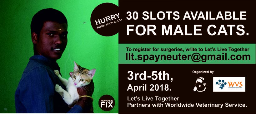 letslivetogether.wordpress.com/2018/04/05/510…