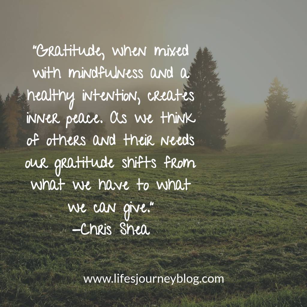 Combining mindful practices with action, we turn gratitude into a life changing action. -Chris #gratitude #grateful #Thanksgiving #lifechange #ChrisShea #lifesjourney #lifecoach #attitudeofgratitude