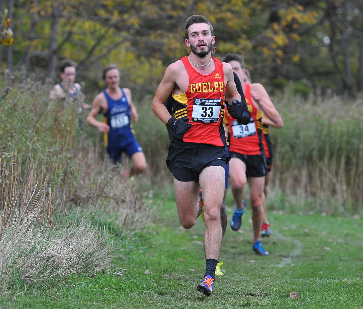 guelph_gryphons's tweet photo. 👟A pair of Gryphon All-Canadian teammates are in Switzerland ready to run for Canada at the World University Cross Country Championship! Congrats to Danielle and Mark...and good luck! 👏🇨🇦➡️https://t.co/fiKJoPCZWo https://t.co/JRip5Y7giP