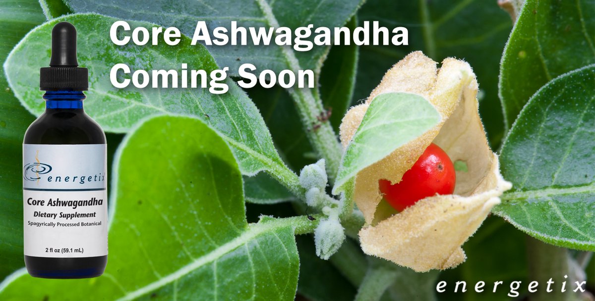 Energetix Corp tweet media