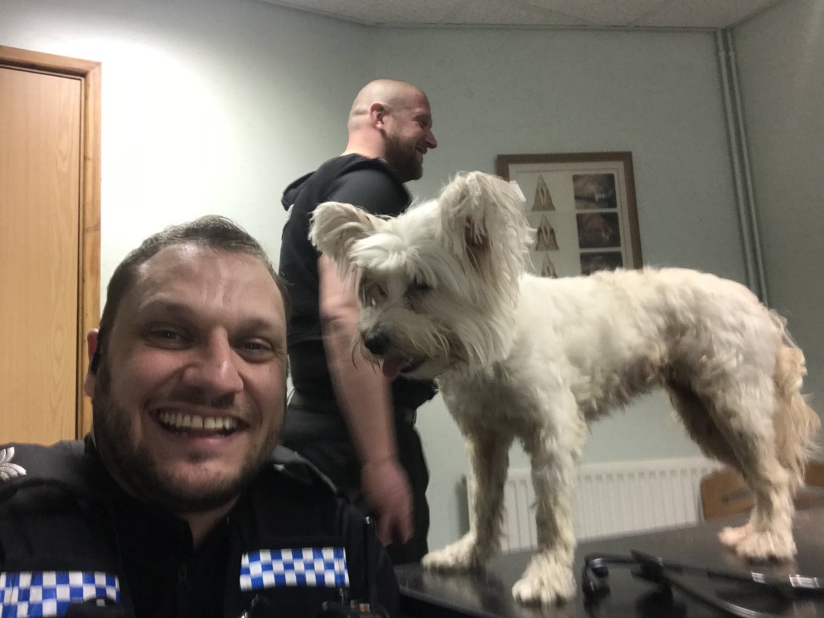 EveshamCops's tweet photo. 628. A very sweaty #sarge after a sprint down the A46 chasing after this little lady. Caught safe and sound and now at vets. Many thanks to understanding motorists. #notjustcrime #onelifesaved #cheekygrin #community https://t.co/hEv0ITnOn5