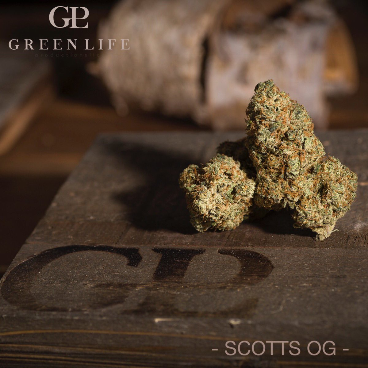 GLPNV's tweet photo. Fresh drop 🚨 #ScottsOG coming in at 23.75% thc, 28.31% total cannabinoids #terpenes 9.24 mg/g #myrcene, 5.11 mg/g #limonene, 3.80 mg/g #caryophyllene , 3.02 mg/g #linalool 🙌 @InyoDispensary  @NuwuCannabis  @MMJAmerica  @TheDispensaryNV @TheGroveNV @EssenceVegas  @ApothecariumLV https://t.co/ERAxBDtIfi