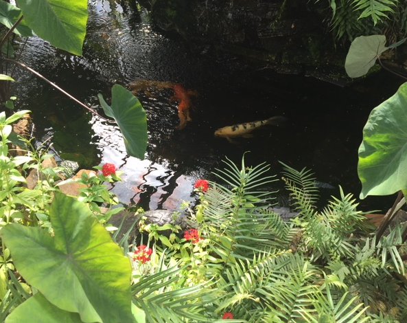 LAMPSchool's tweet photo. Yesterday, LAMP students visited the Butterfly Estates to watch the release of the butterflies. @LeeSchools https://t.co/PsGXmxYSDz