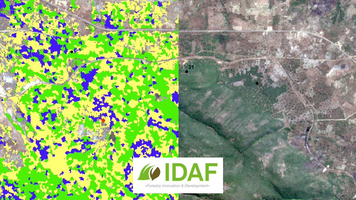 IDAFChile's tweet photo. Mañana en #LARS2018
exponemos comunicación: "Estudio de la tipificación del Miombo en la provincia de Huambo a través del uso de imágenes de media y alta resolución"
#Teledetección 
#GIS
#forestry
@GeoLars2018 
@LiDat_IDAF https://t.co/TKUqjWRadh