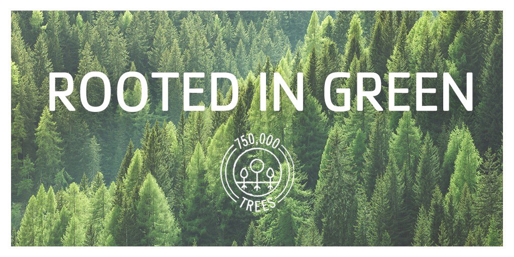 pmtsgreatlakes's tweet photo. Together, we can change the world. Ask about Earth Month and how you can make a difference by planting a FREE tree. See link https://t.co/5iWP5yOR3m for more details
#RootedInGreen #TeaTreeHairCare https://t.co/fg4YosUm0S