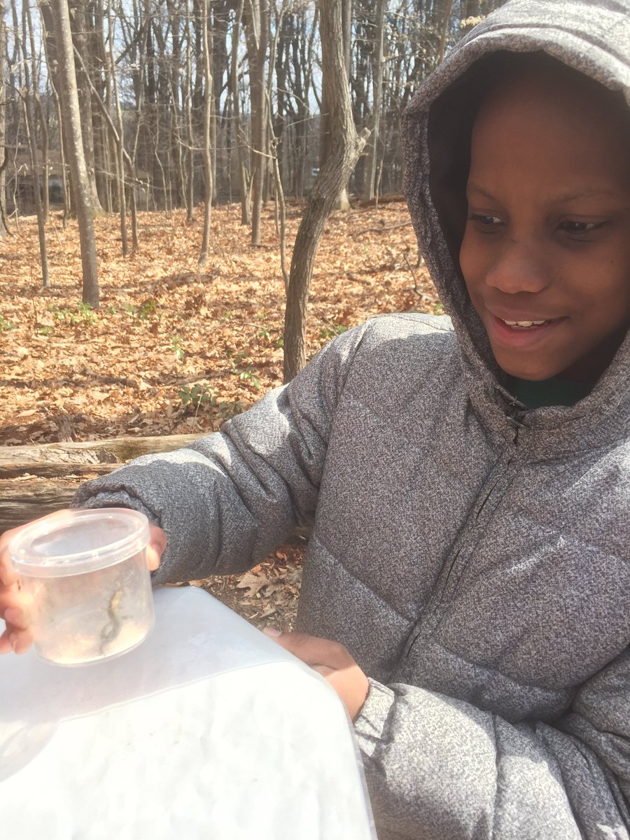Wellwood5th's tweet photo. A salamander on the BioBlitz! https://t.co/bwcLH7d8xQ