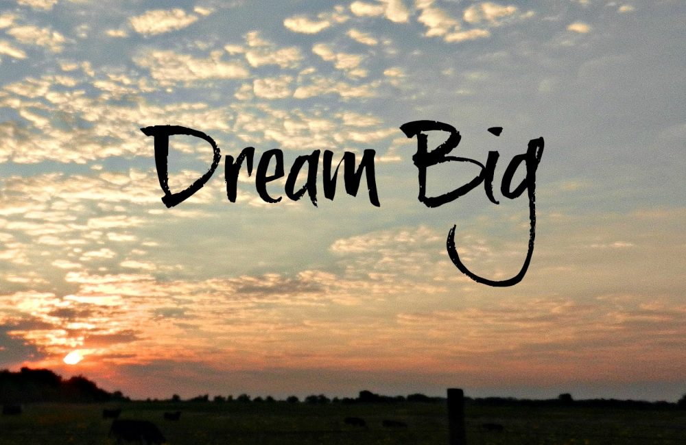 NYEW's tweet photo. Dream BIG. Worry small. https://t.co/fKLj32uYw4