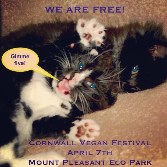 vegcornwall's tweet photo. Hmm getting excited yet? Been doing your sun dance? See you there! We will be having fun so come on up to the stunning north coast @MPEcopark #cornwallveganfestival #veganspring https://t.co/ObkpLlw3W6
