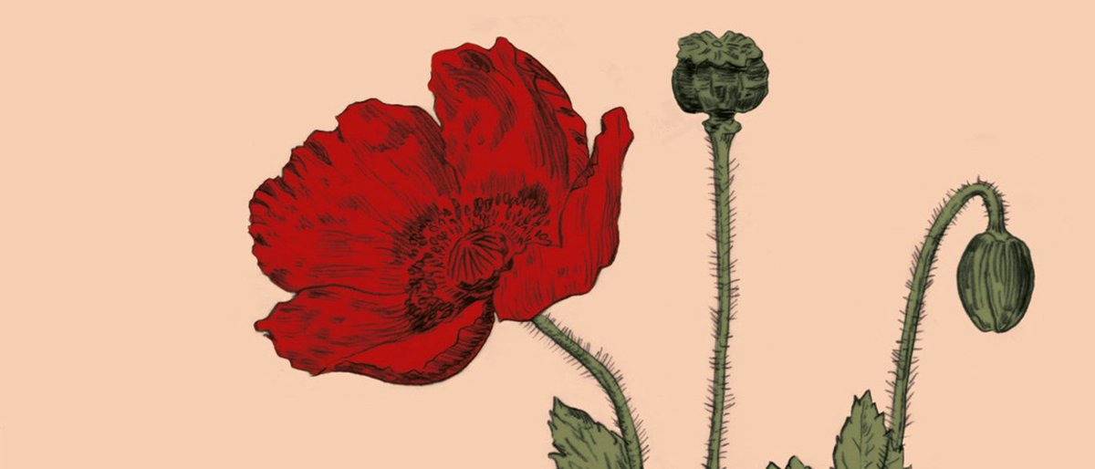 Espacio Fundación Telefónica tweet media