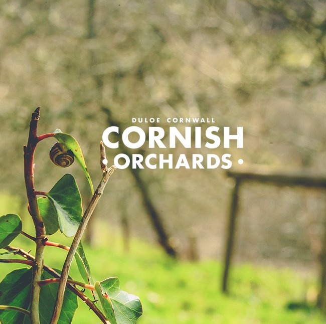 cornishorchards's tweet photo. The sun is shining here on Westnorth Manor Farm today, even the snails are happy!

#sunisfinallyhere #nature #naturalworld #summeriscoming #cornwall #tastethenature https://t.co/1QtIH1mwmK