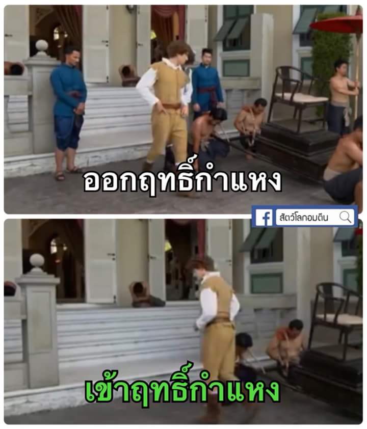 cattydaedae's tweet photo. อีเหี้ยยยยยย กูขำท้องแข็งน้ำตาไหล คนเดียวเล่นได้ขนาดนี้เลยหรอ  🤣🤣🤣🤣🤣
Cr: สัตว์โลกอมตีน
#บุพเพสันนิวาส https://t.co/CDxzb2DhEs