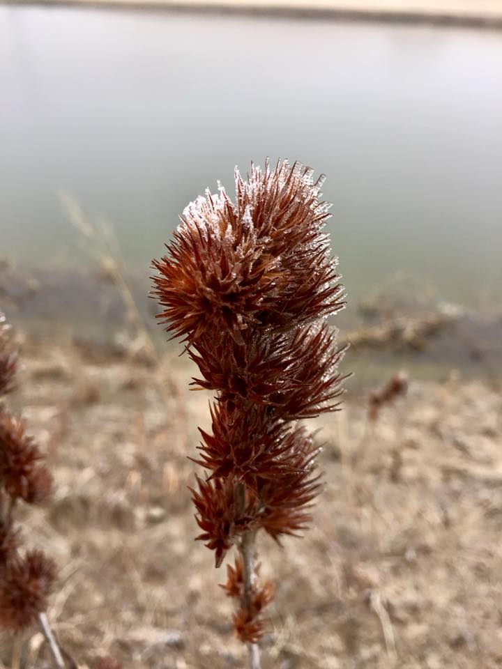 S.Thomas (@redwng2) on Twitter photo 