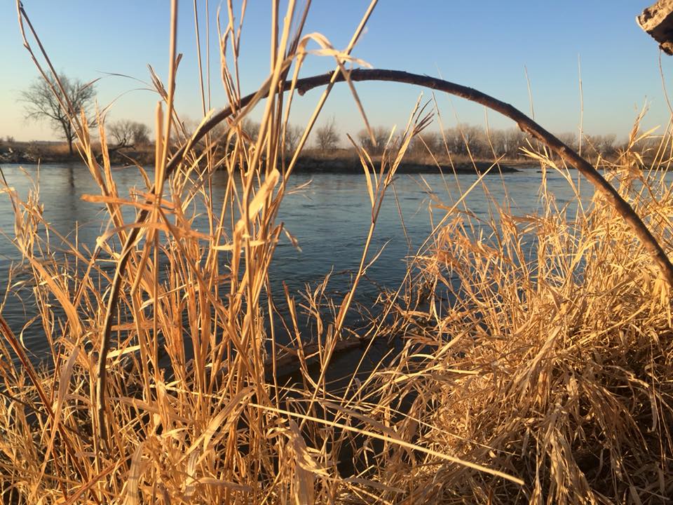 S.Thomas (@redwng2) on Twitter photo 