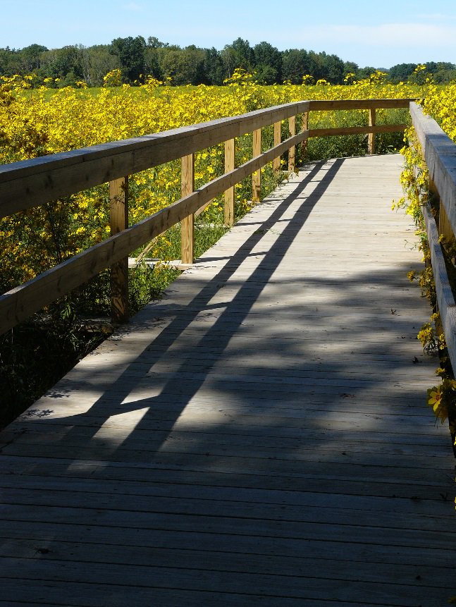 AmerProperties's tweet photo. Heritage at #Pennington is located less than 5 miles from the beautiful #MercerMeadows! Embrace the scenic #walking and #biking trails 🚴♀️or bring your #friends and #family to take advantage of the open athletic fields⚽️⚾️🏐
Click: https://t.co/gHLUkOfz3J https://t.co/SPBzPiwxL2