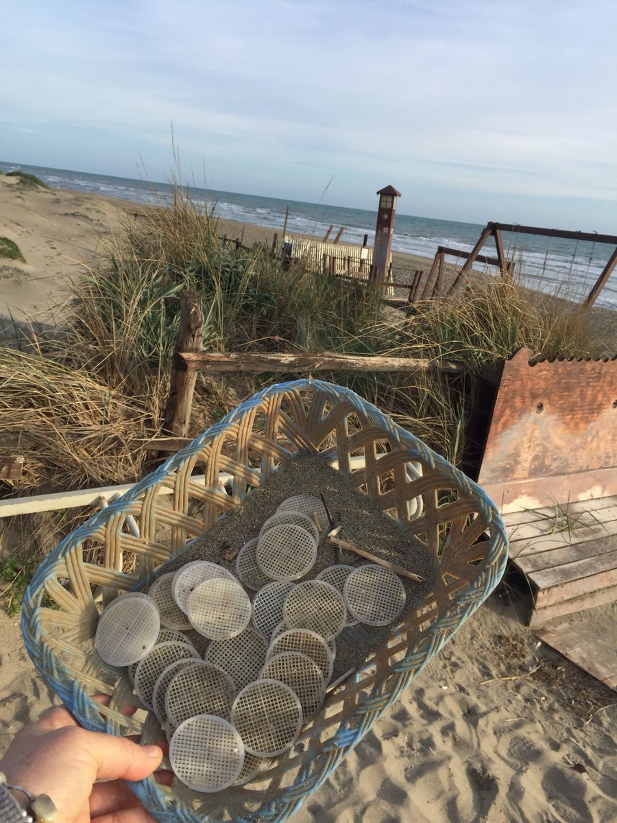 CignoVerde's tweet photo. #cinqueminuti Raccolto 32 #dischetti #marinelitter #seacleanlife #pasquetta alla prossima passeggiata! #bastapoco https://t.co/H0EOI8nUiC