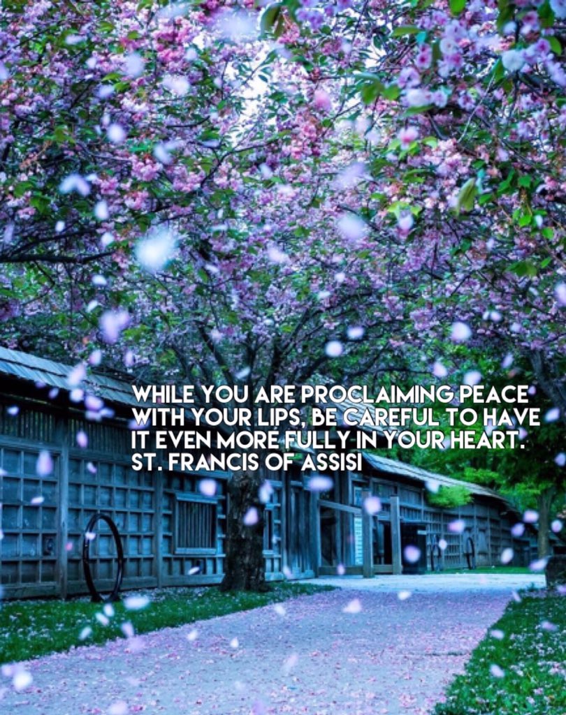 WomenofthewordT's tweet photo. #peace #peacefulheart #peacefulwords #kindness #patience #love #goodness #gentleness #Catholicism #catholicwomen #womenofthewordtoronto https://t.co/3O66Bcelxw