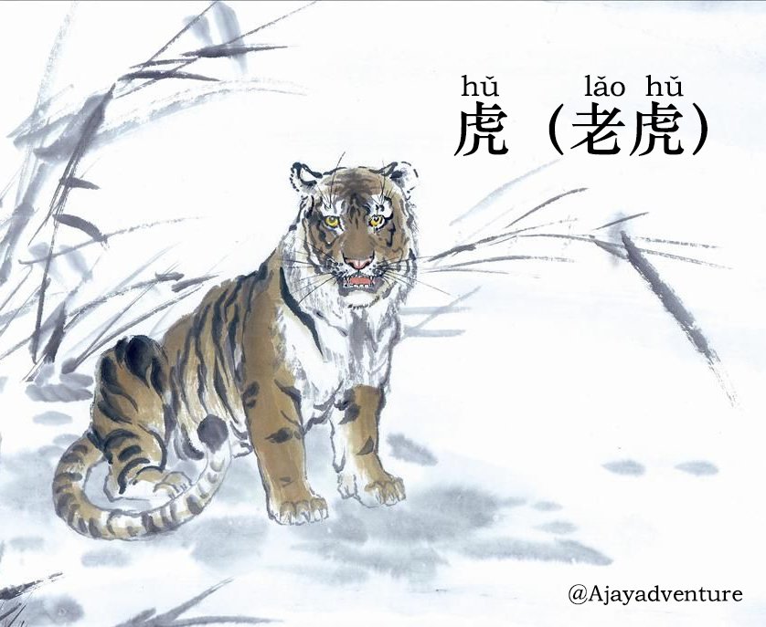 If you were born in 2010,1998,1986,1974,1962, you are a tiger.
Tigers are chiefly known for their bravery, but they also tend to be one of the flashier signs.