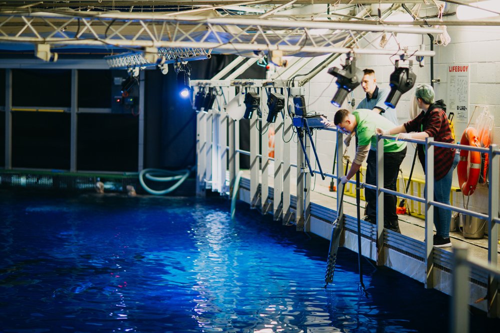 TheDeepHull's tweet photo. Weekdays are an ideal opportunity for over 18s to take part in our Deep Experience days. We have a few dates still available this month on 17,18,19,23,24,25 &amp; 26 April. Packages cost just £110 for one participant or £165 for two. Find out more https://t.co/SVV7n3PieO #keeperday https://t.co/nhe1IV2KDC