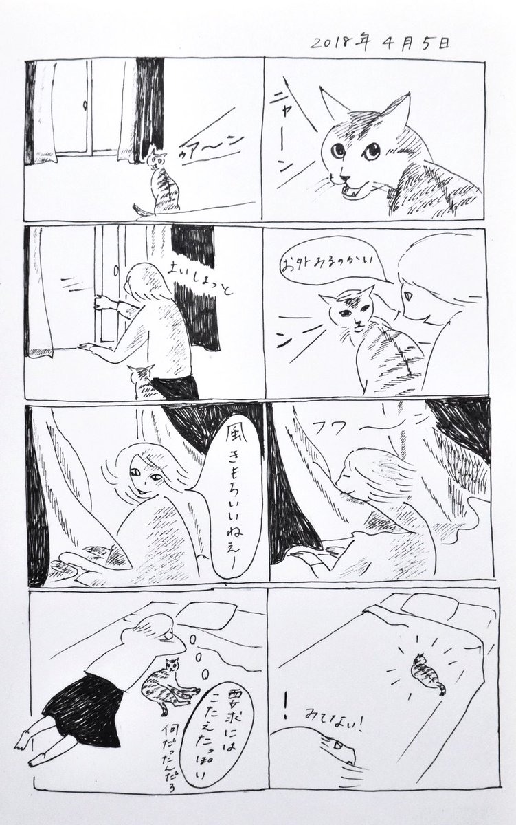 2018/4/5のぎんちゃん  #今日のぎんちゃん 