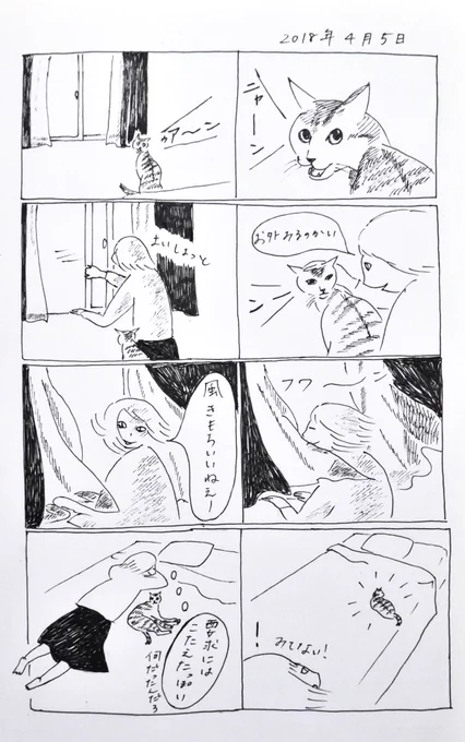 2018/4/5のぎんちゃん  #今日のぎんちゃん 